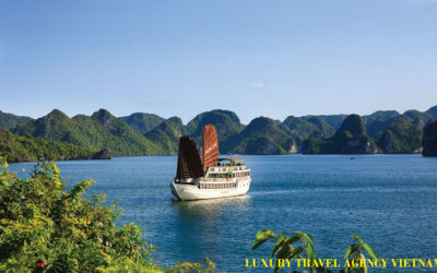 HALONG BAY ONE DAY TOUR