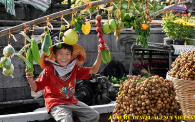 MEKONG DELTA ONE DAY