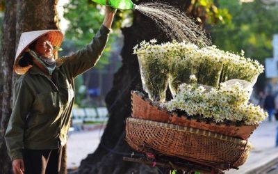 HANOI CITY TOUR FULL DAY