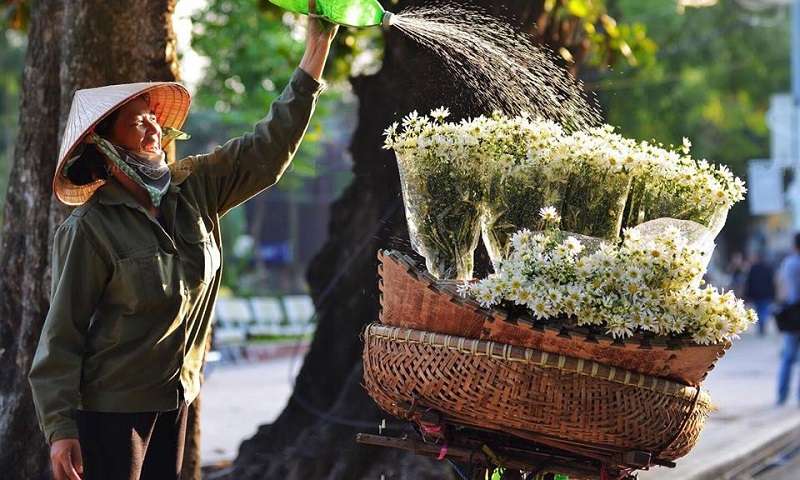 HANOI TOURS