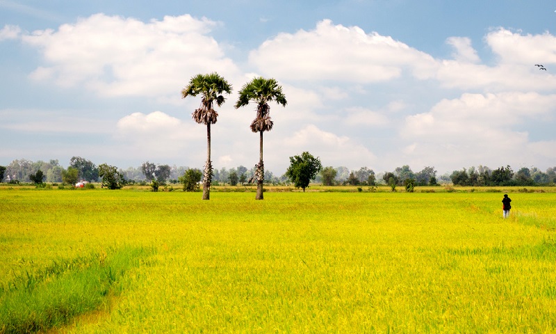TRAVEL AGENCY VIETNAM